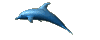 dolphin_clr.gif (7338 bytes)